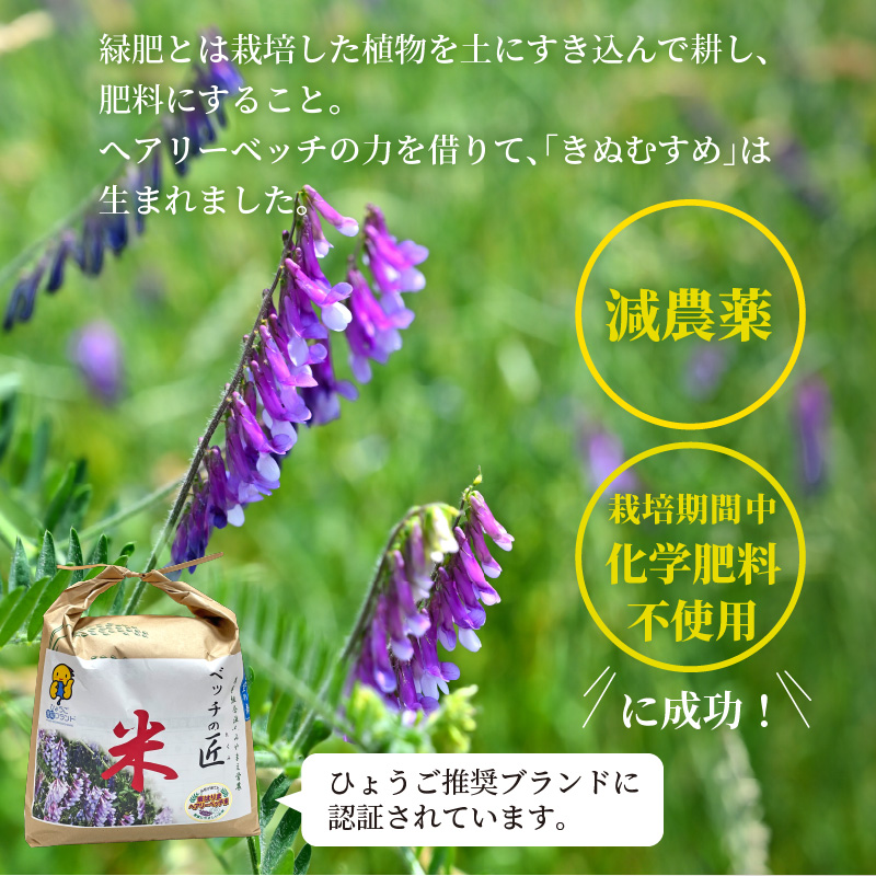 ベッチの匠米(12kg)【2024年11月下旬より順次発送】《 兵庫県 加古川市 ふるさと 納税 米 コメ お米 おこめ 白米 特別栽培 12キロ 返礼品 期間限定 送料無料 国産 ふるさと納税 米 加古川市 》【2402B02903】