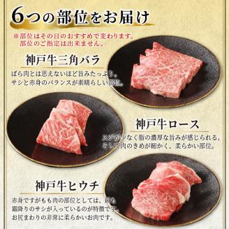 自社牧場直送神戸牛6点食べ比べ焼肉(600g)《 国産 自社牧場直送 肉のヒライ 焼肉 食べ比べ 牛肉 霜降り ロース ハラミ 三角バラ カルビ お楽しみ セット 詰め合わせ 》【2403A00104】