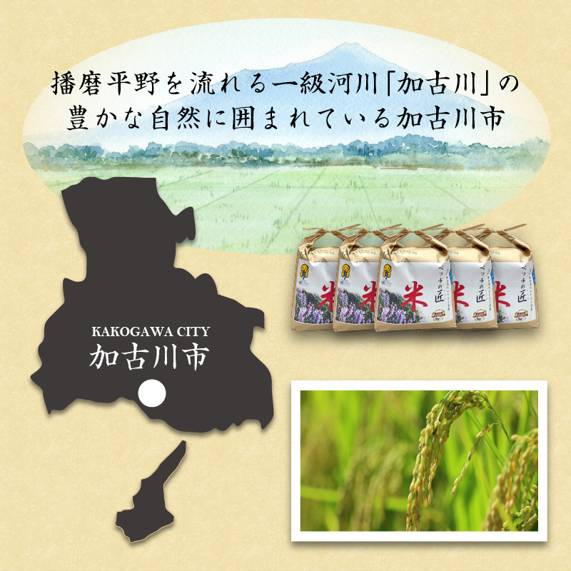 【緑肥作物へアリーベッチ】ベッチの匠米(玄米)7kg【2024年11月下旬より順次発送】《 玄米 7kg お米 玄米 安心 安全 米 おこめ 国産 送料無料 》【2401B02904】