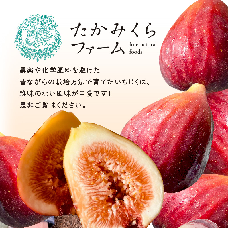 期間限定【農園のめぐみ】甘味が凝縮いちじく750g×2《 数量限定 限定 果物 くだもの フルーツ いちじく 無花果 送料無料 》【2401C08210】