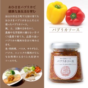 ☆期間限定☆加古川おひさまパプリカ＆ジャム・ソース・ソルト【8月中旬より順次発送】【2401F08201】
