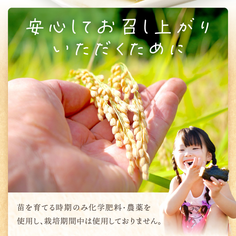 ☆先行予約☆【新米 令和7年産 2025年11月より順次発送】はしもとさんちのお米(10kg)《 お米 米 ヒノヒカリ 精米 お米10kg お米10キロ ごはん ご飯 》【2503B14302】
