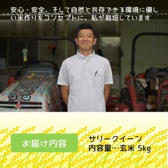 お米 サリークイーン 玄米《 お米 玄米 5キロ 安心 安全 バスマティ 日本晴 米 おこめ 国産 送料無料 ピラフ パエリア》【2401B08405】