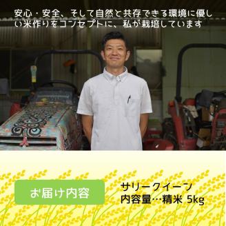 お米 サリークイーン 精米《 お米 精米 5キロ 安心 安全 バスマティ 日本晴 米 おこめ 国産 送料無料 ピラフ パエリア 》【2401B08406】