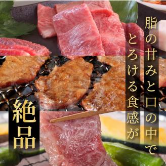 大浦和牛焼肉セット(1kg)《 牛肉 牛 国産 焼肉 セット おすすめ ロース 美味しい 牛タン ハラミ ヘレ フィレ ヒレ ヒレ肉 食べ比べ バーベキュー 》【2405A00206】