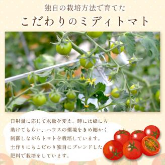 高見農園のにこにこトマト(フルーツミディトマト)約900g [1月中旬より順次発送]《 トマト とまと 産地直送 野菜 ふるさと納税 国産 期間限定 送料無料 》【2400C10401】