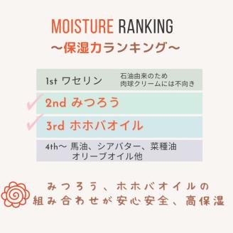 【ペット専用】みつろう肉球リップクリーム3本セット《 ペットグッズ 犬 ケア 国産みつろう100% スティッククタイプ オーガニック ホホバオイル 》【2400N13311】