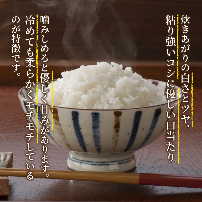 ベッチの匠米(12kg)【2024年11月下旬より順次発送】《 兵庫県 加古川市 ふるさと 納税 米 コメ お米 おこめ 白米 特別栽培 12キロ 返礼品 期間限定 送料無料 国産 ふるさと納税 米 加古川市 》【2402B02903】