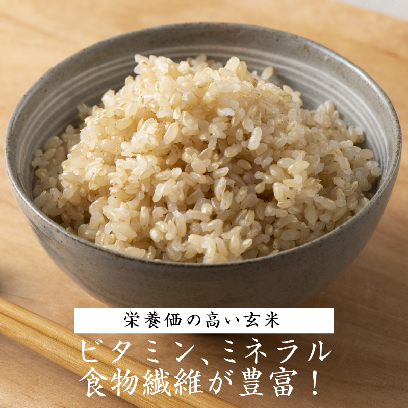 【緑肥作物へアリーベッチ】ベッチの匠米(玄米)7kg【2024年11月下旬より順次発送】《 玄米 7kg お米 玄米 安心 安全 米 おこめ 国産 送料無料 》【2401B02904】
