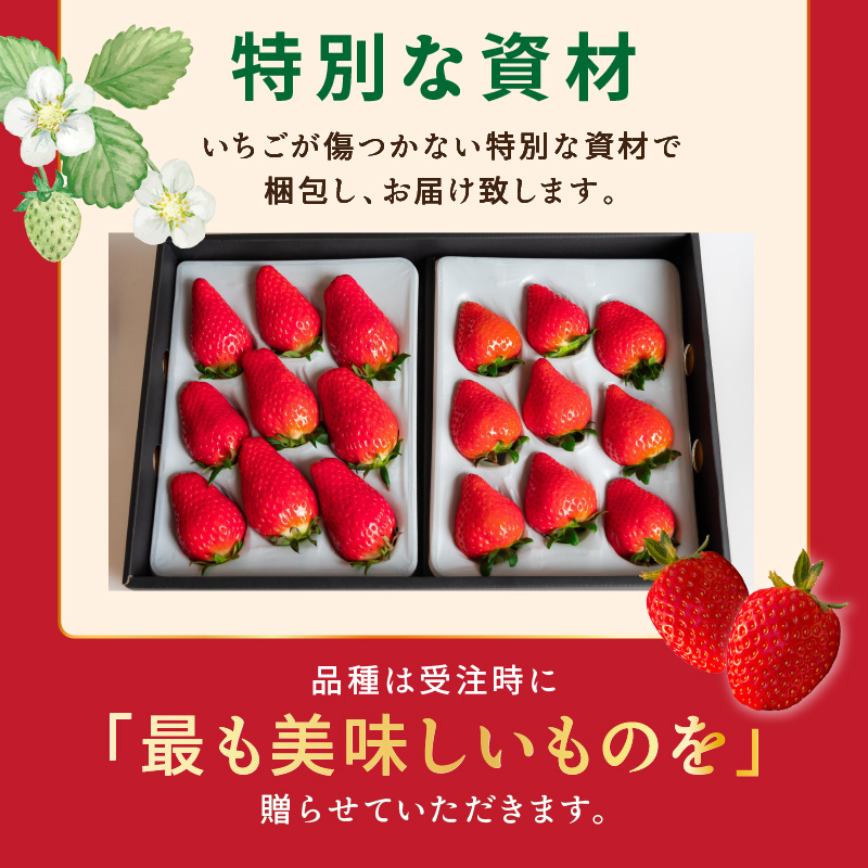 結いちご(2パック入)[12月下旬より順次発送] 《 いちご 大粒 苺 フルーツ 果物 フルーツ工房はたや ふるさと納税いちご イチゴ 高級 国産 送料無料 》【2402C09706】