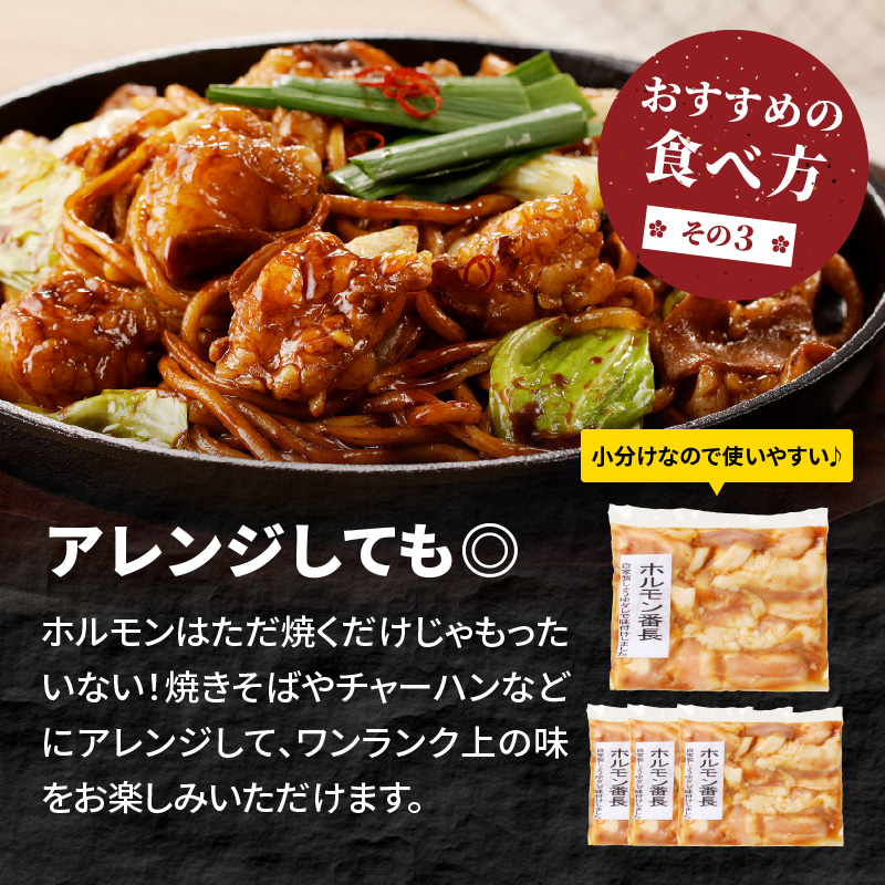 ホルモン番長(国産牛タレ付ホルモン)《 肉 ホルモン 国産牛 自家製タレ 新鮮 》【2401A00224】