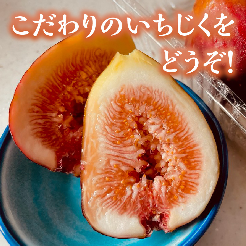 期間限定【農園のめぐみ】甘味が凝縮いちじく750g×1《 数量限定 限定 果物 くだもの フルーツ いちじく 無花果 送料無料 》【2500C08201】