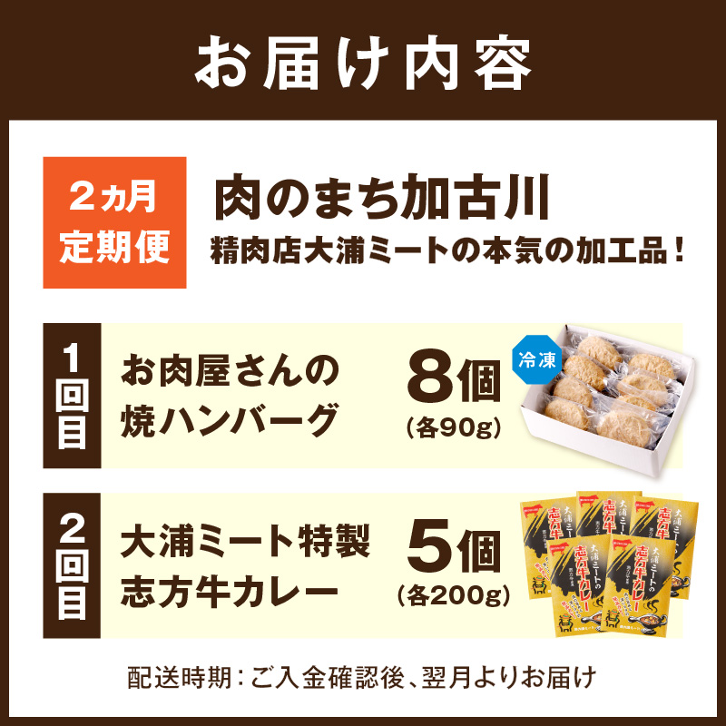 「肉のまち加古川」精肉店大浦ミートの本気の加工品！《 ハンバーグ カレー 定期便 惣菜 簡単調理 手軽 おかず 》【2501I00201】