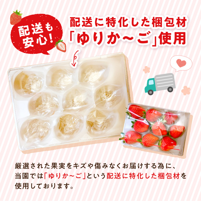 贈答用いちご 3品種食べ比べセット(3パック入)《 いちご 苺 イチゴ フルーツ 果物 国産 フルーツ工房はたや あまえくぼ 章姫 あまクイーン ロイヤルクイーン ぽりっちご あまおとめ 堅しろう 》【2502C09701】