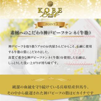 「無添加神戸ビーフ化粧ソープ」フルセット【2403P07311】