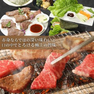 自社牧場直送神戸牛6点食べ比べ焼肉(600g)《 国産 自社牧場直送 肉のヒライ 焼肉 食べ比べ 牛肉 霜降り ロース ハラミ 三角バラ カルビ お楽しみ セット 詰め合わせ 》【2403A00104】