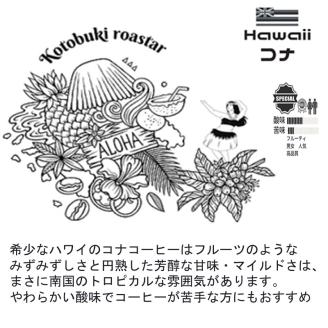 最高級スペシャルビーンズ 厳選3種《 焙煎豆 焙煎 コーヒー 珈琲 》【2402G11701】
