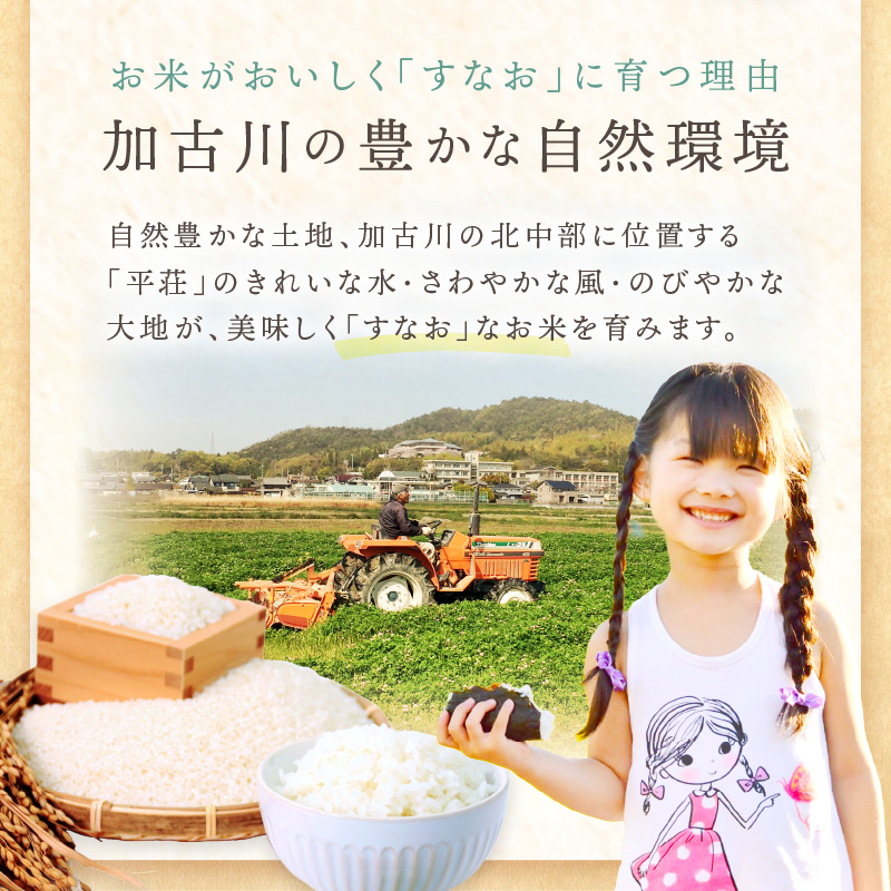 ☆先行予約☆【新米 令和7年産 2025年11月より順次発送】はしもとさんちのお米(5kg)《 お米 米 ヒノヒカリ 精米 お米5kg お米5キロ ごはん ご飯 》【2501B14301】
