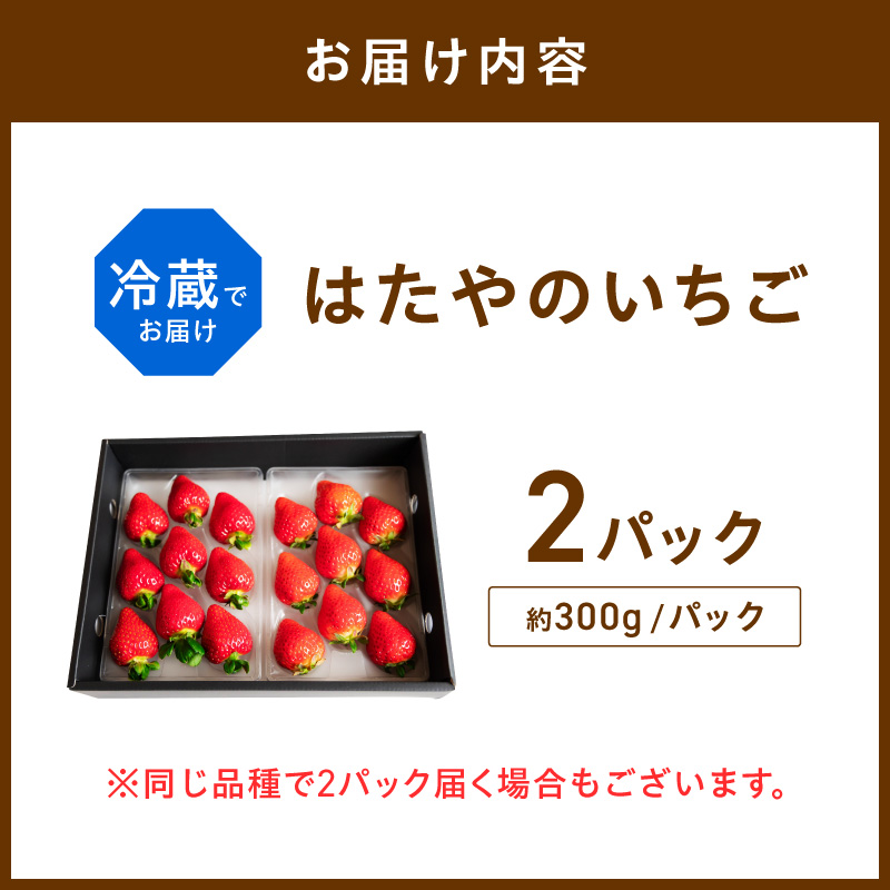はたやのいちご 2Pセット《 いちご 苺 イチゴ フルーツ 果物 国産