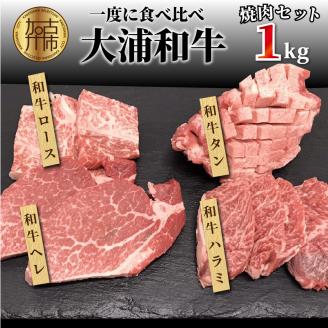 大浦和牛焼肉セット(1kg)《 牛肉 牛 国産 焼肉 セット おすすめ ロース 美味しい 牛タン ハラミ ヘレ フィレ ヒレ ヒレ肉 食べ比べ バーベキュー 》【2405A00206】