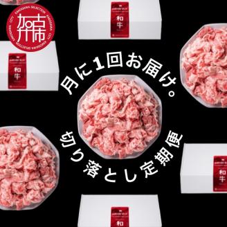 全12回定期便 肉のまち加古川 プリンセス和牛 切り落とし(500g×12か月)《 定期便 肉 和牛 切り落とし 牛肉 肉じゃが 牛丼 プルコギ カレー 日常使い おいしい おすすめ 贈答 》【2417A11506】