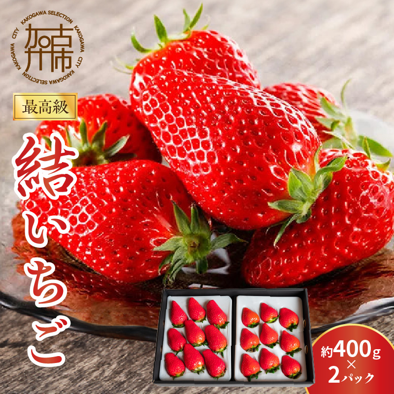 結いちご(2パック入)[12月下旬より順次発送] 《 いちご 大粒 苺 フルーツ 果物 フルーツ工房はたや ふるさと納税いちご イチゴ 高級 国産 送料無料 》【2402C09706】