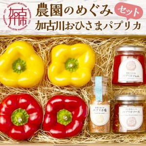 ☆期間限定☆加古川おひさまパプリカ＆ジャム・ソース・ソルト【8月中旬より順次発送】【2401F08201】