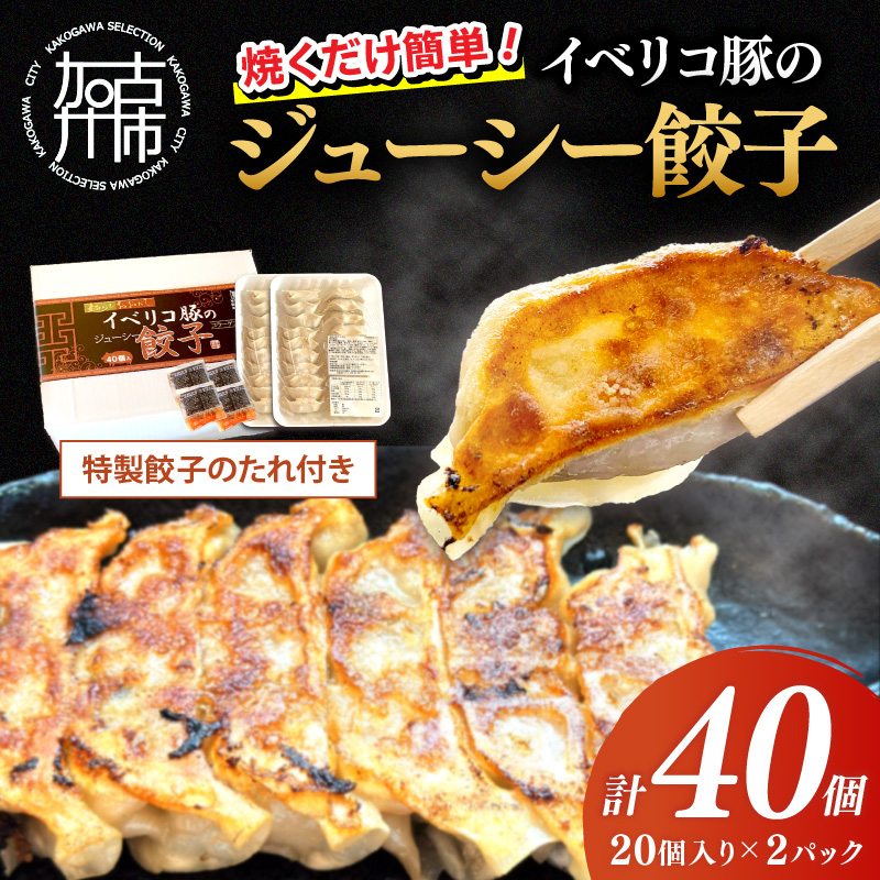 大西食品「イベリコ豚のジューシー餃子」《 ギョーザ 焼くだけ 簡単 イベリコ豚 ベジョータ 兵庫県 加古川市 》【2401I15301】