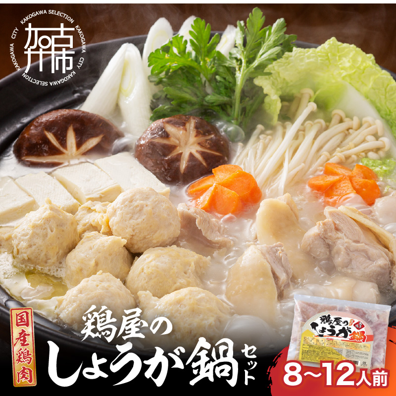 鶏しょうが鍋セット《 鍋 なべ 鍋セット 鶏肉 生姜 ショウガ 》【2401I16009】