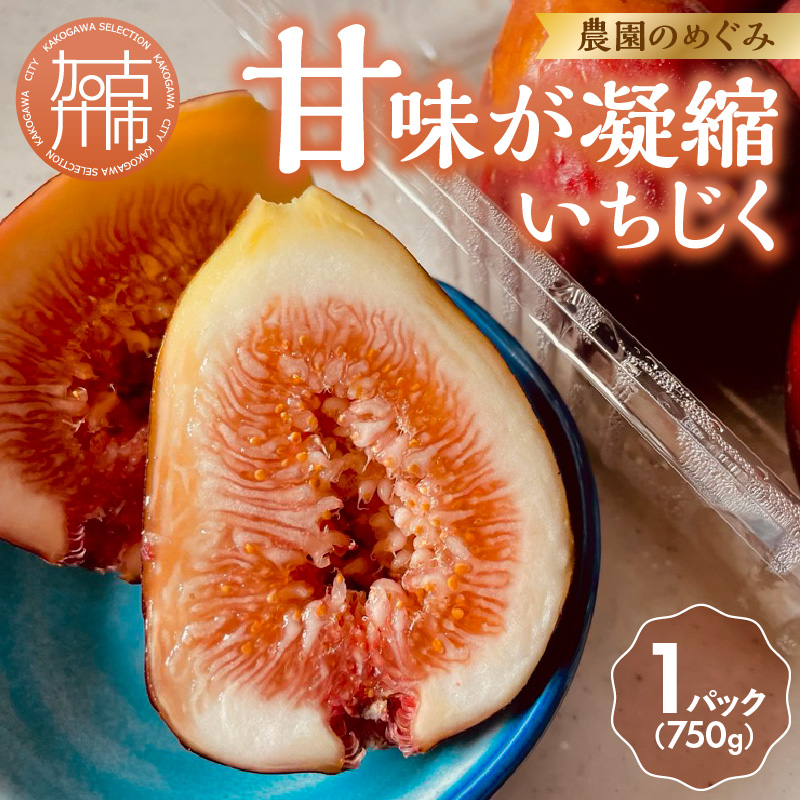 期間限定【農園のめぐみ】甘味が凝縮いちじく750g×1《 数量限定 限定 果物 くだもの フルーツ いちじく 無花果 送料無料 》【2500C08201】