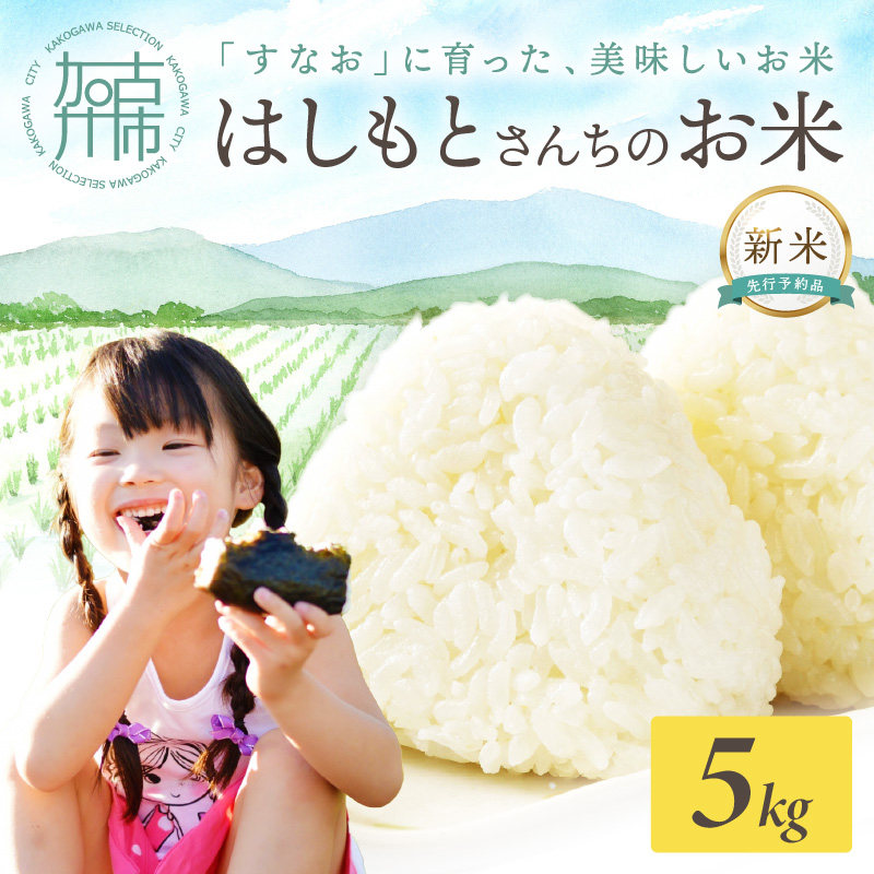 ☆先行予約☆【新米 令和7年産 2025年11月より順次発送】はしもとさんちのお米(5kg)《 お米 米 ヒノヒカリ 精米 お米5kg お米5キロ ごはん ご飯 》【2501B14301】