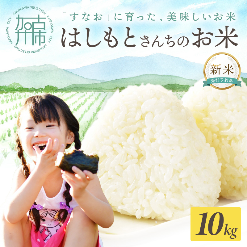☆先行予約☆【新米 令和7年産 2025年11月より順次発送】はしもとさんちのお米(10kg)《 お米 米 ヒノヒカリ 精米 お米10kg お米10キロ ごはん ご飯 》【2503B14302】