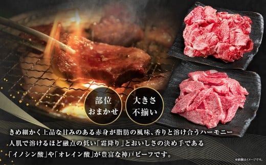 訳あり 神戸牛 切り落とし肉 約400g・焼肉用（不揃い）約400g 計800g AKSY2