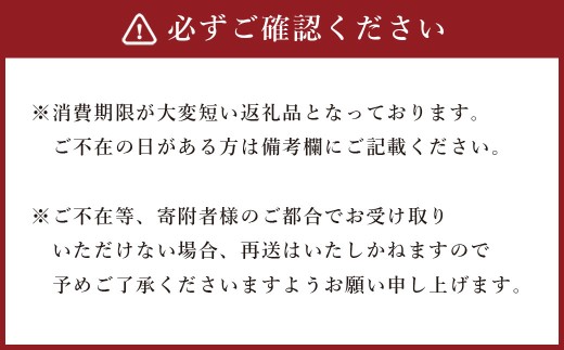 牡蠣 坂越かき 殻付き牡蠣 24個