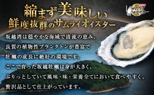 坂越かき 殻付き 20個（牡蠣ナイフ・軍手付き）