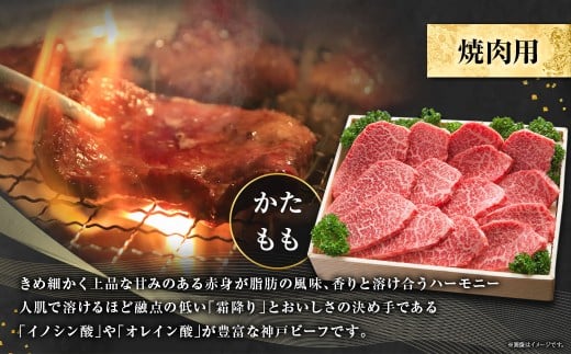 神戸牛 焼肉用 かた・もも 約500g AKY2