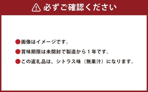 経口補水液 スムーズイオン 500ml × 24本