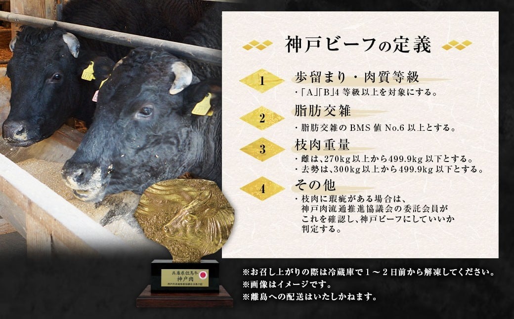 神戸牛 ロースステーキ 約250g×2枚 計約500g AKST5