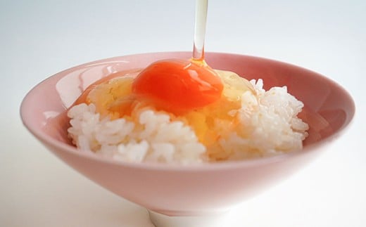 【6ヶ月定期便】 赤穂の源 50個