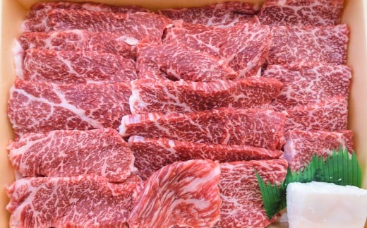 牛肉 兵庫県産 黒毛和牛 焼肉 モモ 約500g×1パック
