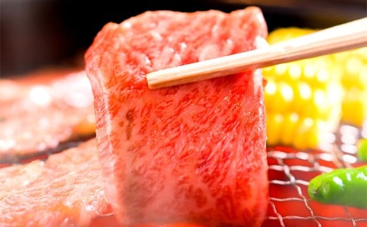 【和牛セレブ】神戸牛焼肉（焼きすき）ブリスケスライス 約1.2kg