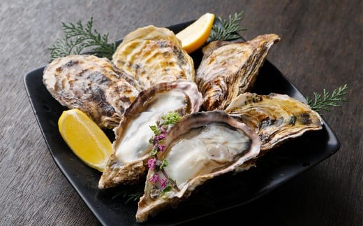 生食OK 坂越かき 殻付き生牡蠣 12個入り 【冷凍】 カキ 牡蠣 かき 海の幸 魚介 貝