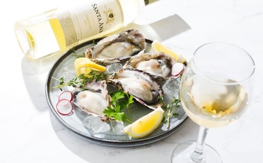 生食OK 坂越かき 殻付き生牡蠣 12個入り 3パック 計：36個 【冷凍】カキ 牡蠣 かき 海の幸 魚介 貝