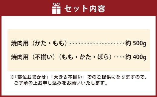 神戸牛 焼肉・焼肉（不揃い）用セット 計約900g AKY3