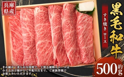 牛肉 兵庫県産 黒毛和牛 すき焼き ロース 約500g×1パック