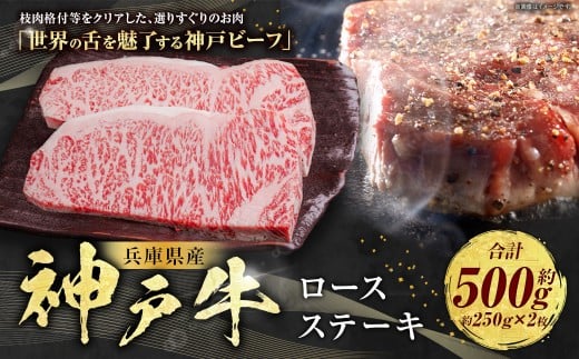 神戸牛 ロースステーキ 約250g×2枚 計約500g AKST5