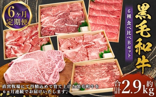 【6回定期便】牛肉 兵庫県産 黒毛和牛 6種 食べ比べ B