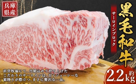 牛肉 兵庫県産 黒毛和牛 サーロイン ブロック 約2.2kg×1パック