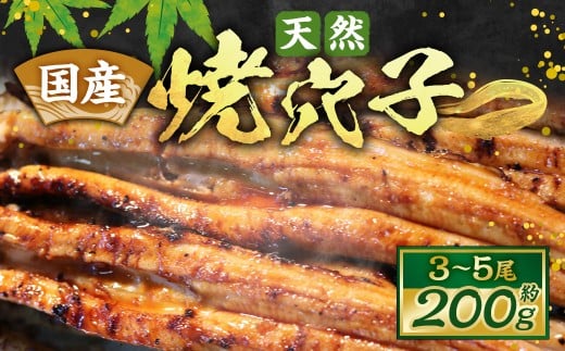 国産天然焼穴子（約200ｇ）
