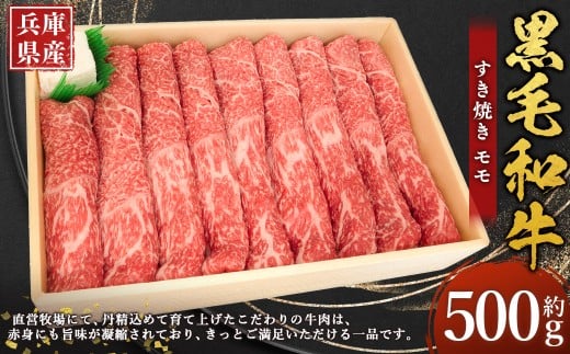 牛肉 兵庫県産 黒毛和牛 すき焼き モモ 約500g×1パック